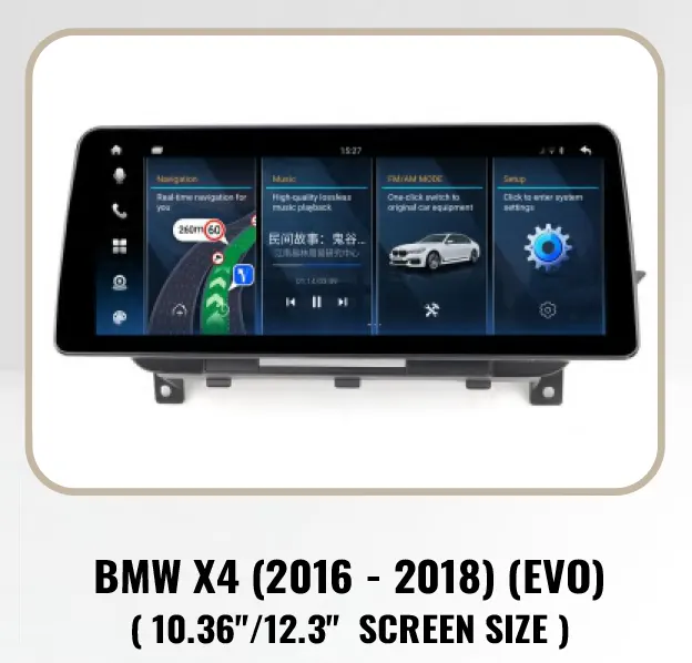 BMW X4 (2016 - 2018) (EVO)