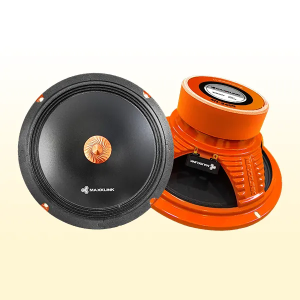 SPEAKER WITH RAIN GUARD RING